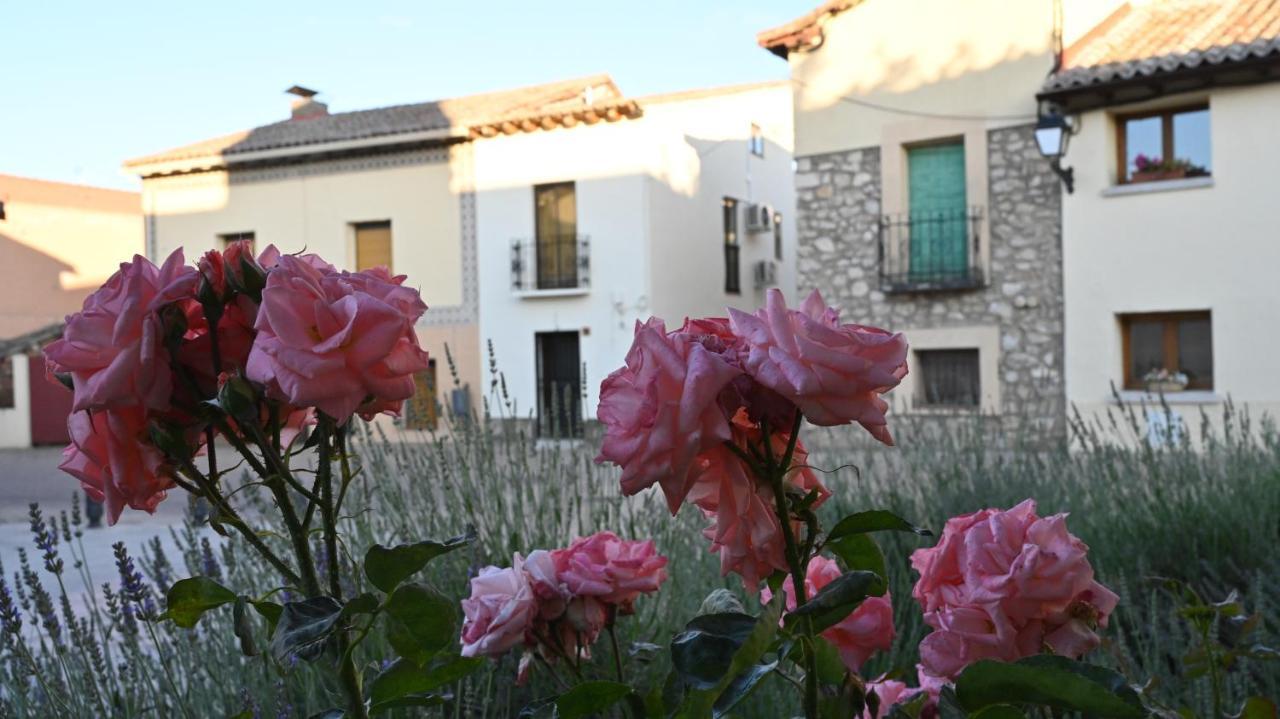 Casa Rural Antigua Botica Torremocha de Jarama Eksteriør bilde